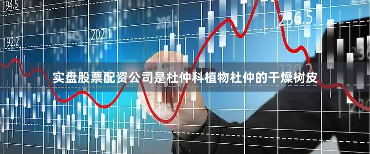 实盘股票配资公司是杜仲科植物杜仲的干燥树皮