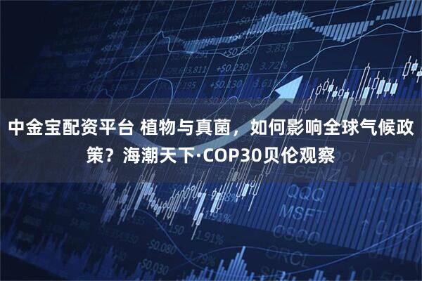 中金宝配资平台 植物与真菌，如何影响全球气候政策？海潮天下·COP30贝伦观察